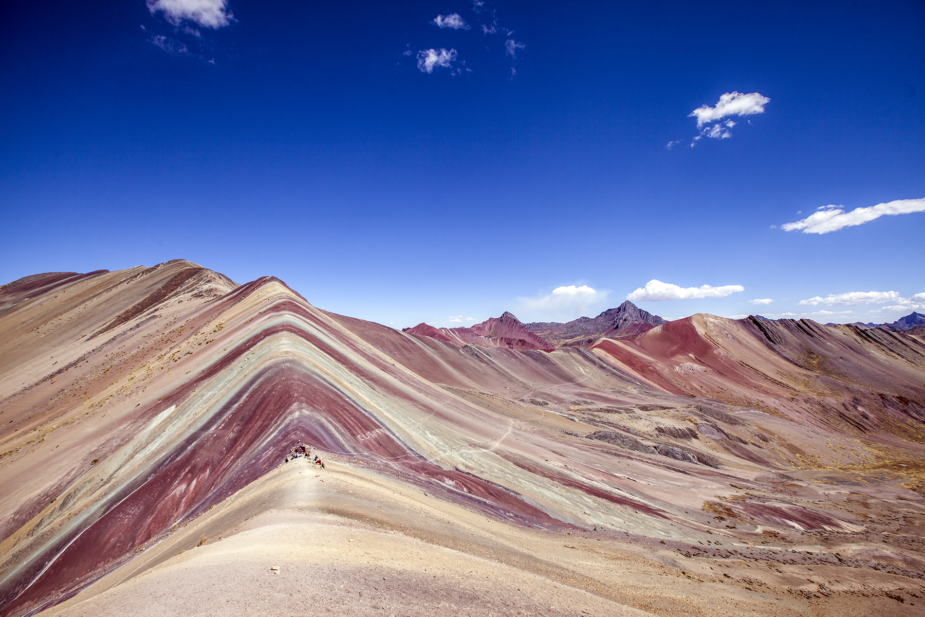 VINICUNCA 1