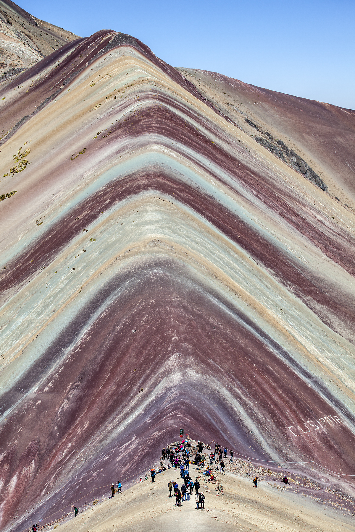 VINICUNCA 2