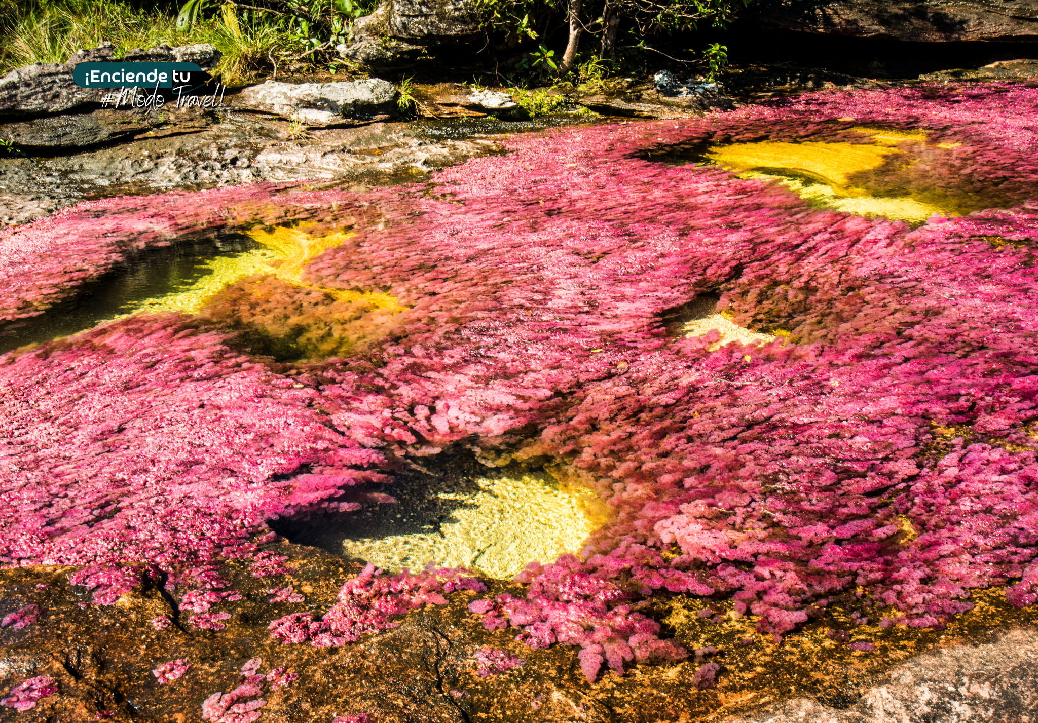 CAÑO CRISTALES 2