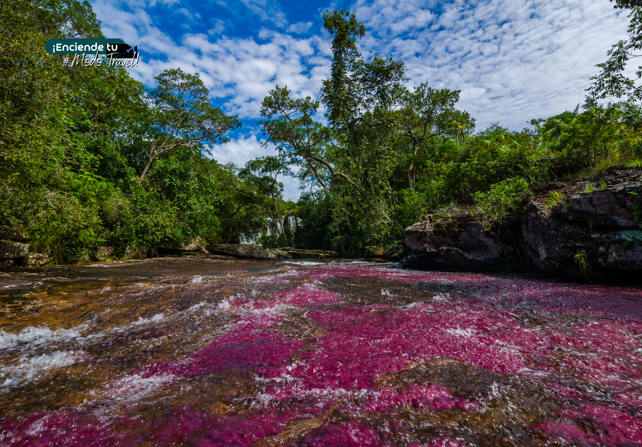 CAÑO CRISTALES 5